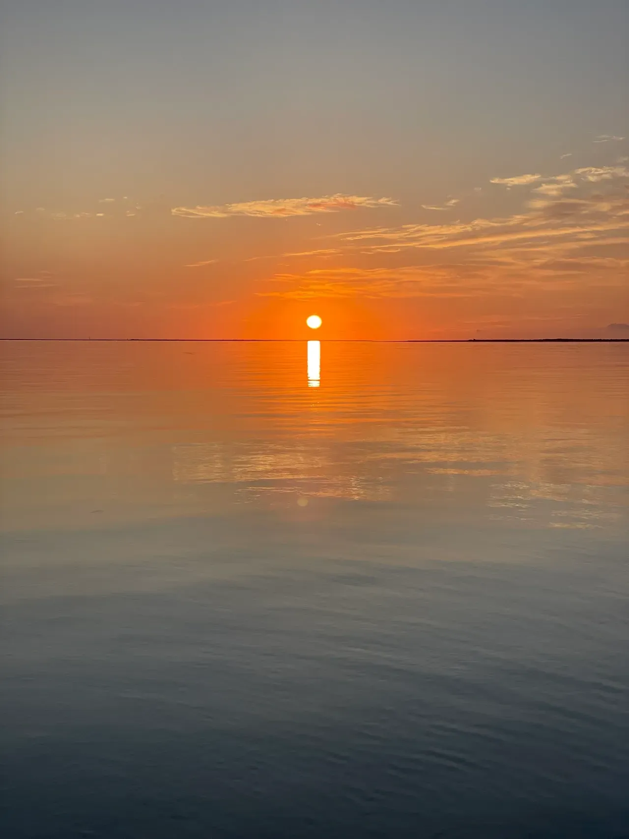 defaultImg