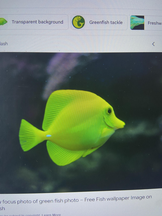 defaultImg