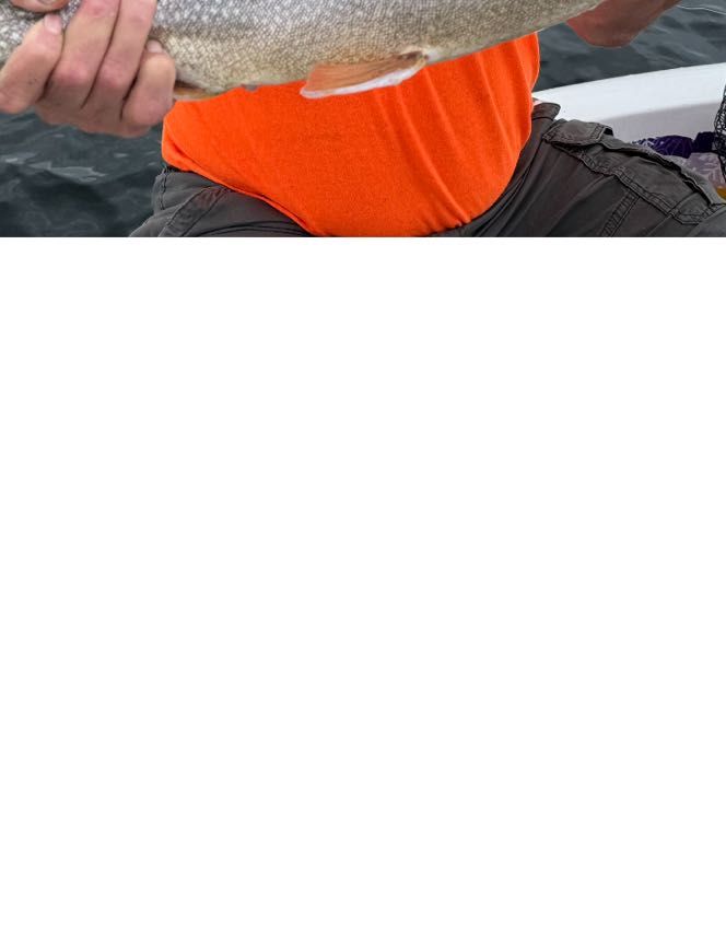 defaultImg