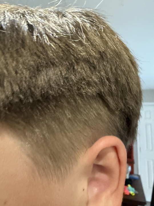 defaultImg