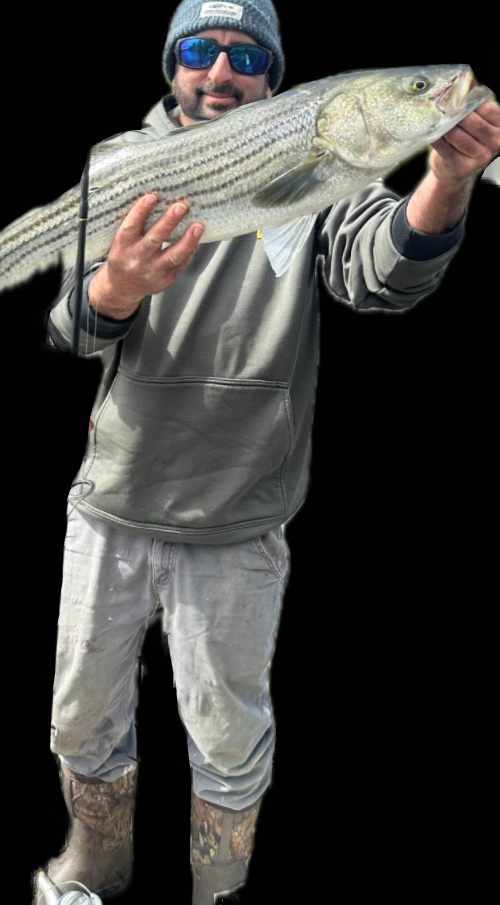 defaultImg
