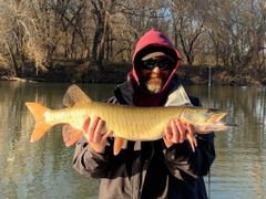Shenandoah River catches