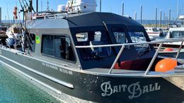 Big Butt Charters Raider Boat image 0