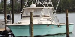 Freebird Charters Blazer Bay boat image 0