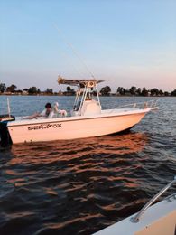 Reel Smoker Sportfishing Seafox Boat image 0