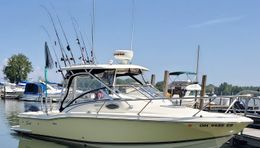 Black H2o Dog Charters Scout Abaco Boat image 0