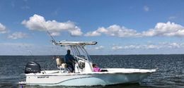 Book Me A Charter Guide Service SeaFox 220 Viper boat image 0