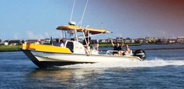 Babu Sport Fishing Charters Twin Vee boat image 0
