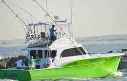 wasabi sportfishing buddy Harris Boat image 0