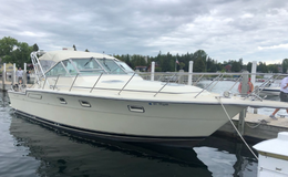 Balls Deep Charters Tiera Boat image 0