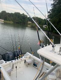 Crushin It Sportfishing Sailfish (Walkaround) boat image 0