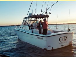 Cuz Charters Shamrock (Walkaround) Boat image 0