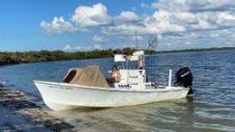 AMI Excursions Hanson (Bay boat) Boat image 0