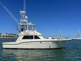  C Suite Charters Hatteras Boat image 0
