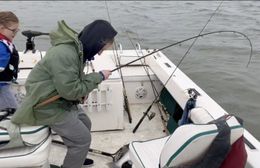 Cap'n Tim Guide Service Falcon Boat image 0