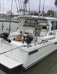 BP Adventures Penn Yan SF (Sport Fish) Boat image 0