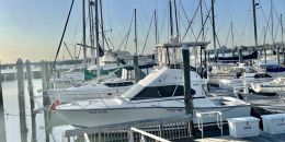 Good to Go Sport Fishing Charters Luhrs Boat image 0