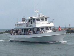 Captain Cal 2 Charters Lydia Boat image 0