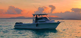 Black Octopus Tours Grady White Boat image 0