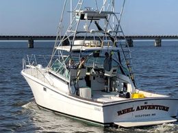 Captain Ben's Charters LLC Topaz Boat image 0