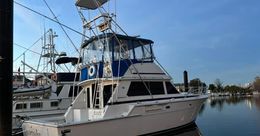 Canyon Eagle 1 Fishing Charters Bertram (Convertible) Boat image 0