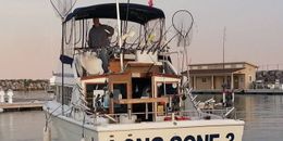 Long Gone 3 Charters Trojan Boat image 0