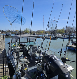 Smackdown Sportfishing Lund Boat image 0