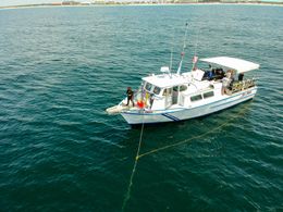 ScubaTech Destin Sea Cobra Boat image 0