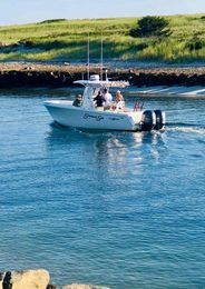 Magnanimous Sport Fishing  Sailfish Boat image 0
