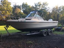 Captain Stu’s Charters  Chaparral Boat image 0