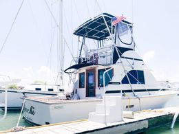 Chachi Charters Bertram boat image 0