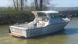 A&C Sportfishing Charters Baha (Offshore sport fishing) boat image 0