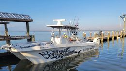 DI Reef Monster Twin Vee 310 TE (Catamaran) Boat image 0