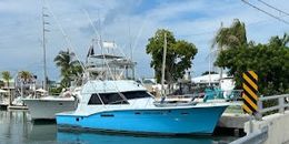 Ana Banana Fishing Company Bertram Boat image 0