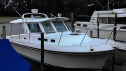 Wicked Eye Charters Albin Boat image 0