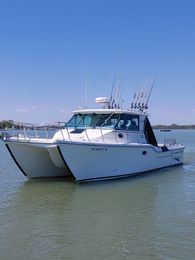 Wicked Eye Charters Baha King Cat catamaran Boat image 0