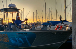Fish Food Guide Service Alumaweld Boat image 0