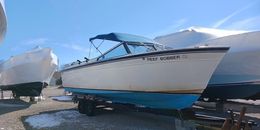 Reef Bobber Charters Marinette (Cuddy cabin) Boat image 0