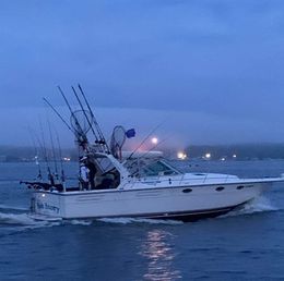 Net Results Sportfishing 31 Tiara Open Boat image 0