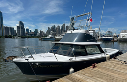 The Pearl Island Charter Co. Betram Boat image 0