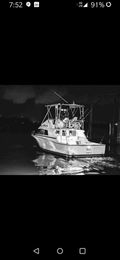 Reel Hard Charters Bertram boat image 0