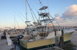 Gin Clear Fishing Charters Smith Boat image 0