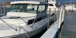 419 Lake Erie Sportfishing Sportcraft Boat image 0