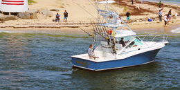 Aquaholic Offshore Fishing Cabo Boat image 0
