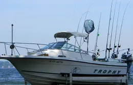 Lake Champlain Trout Scout Charters Trophy Bayliner Walk-about boat image 0