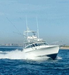 My Boys Fishing Charters  Henriques Boat image 0