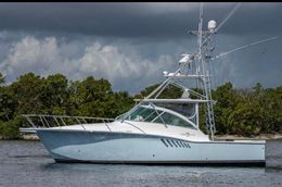 Knot Tell'n Fishing charters Albemarle Boat image 0