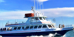 Queen Mary Open Boat & Charters Gulfcraft Boat image 0