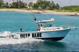 Deep Blue Fishing Charters Parker Boat image 0