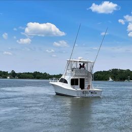 Miss Emily Charters Luhrs 36 Convertible Boat image 0